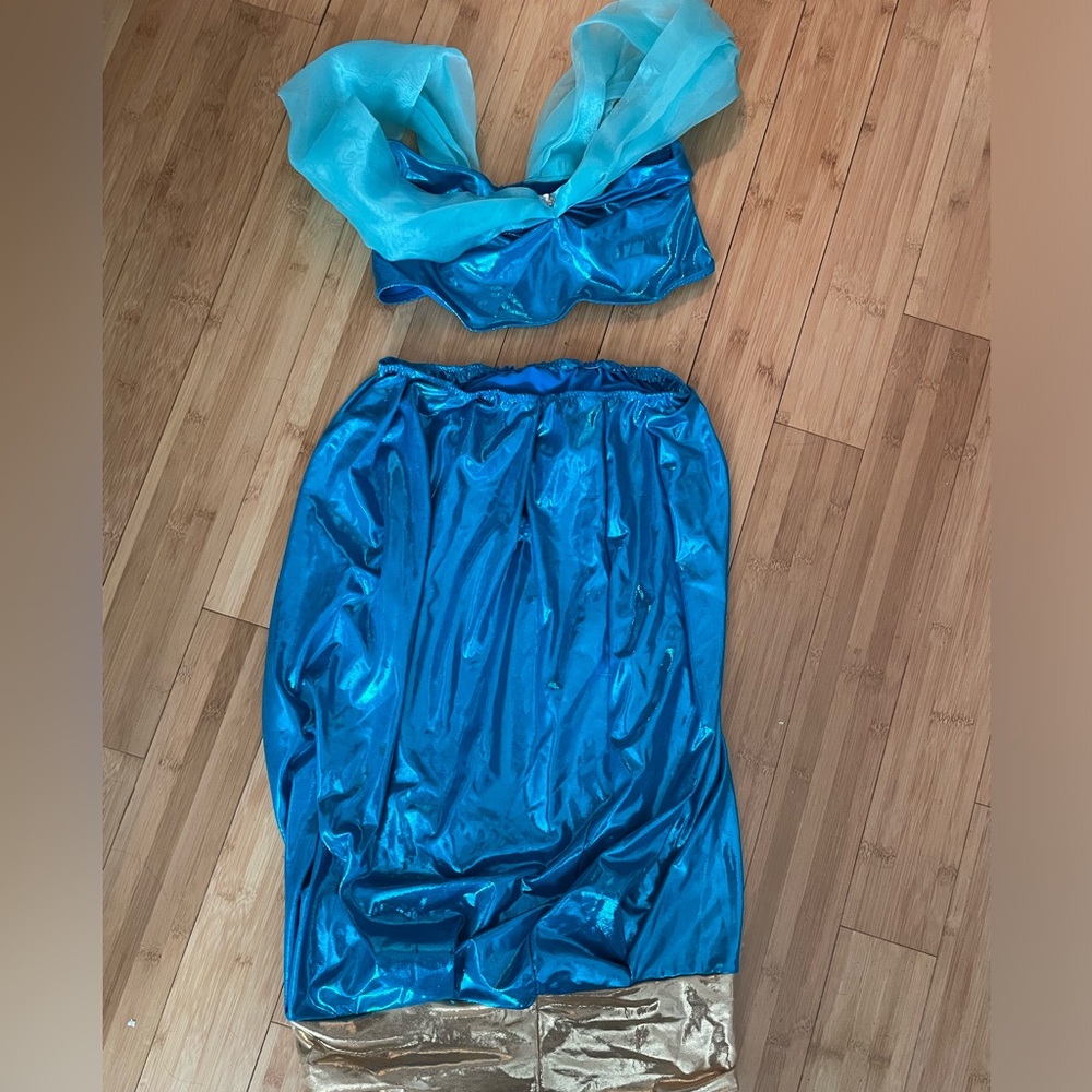 Jasmine Costume